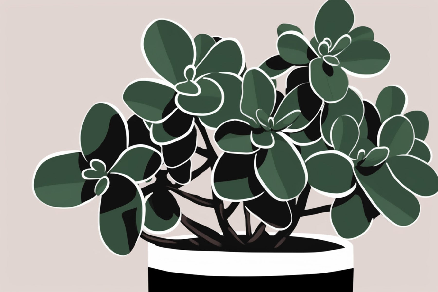 Jade Plant Care Guide Grow a Thriving Crassula Ovata with Fuliage
