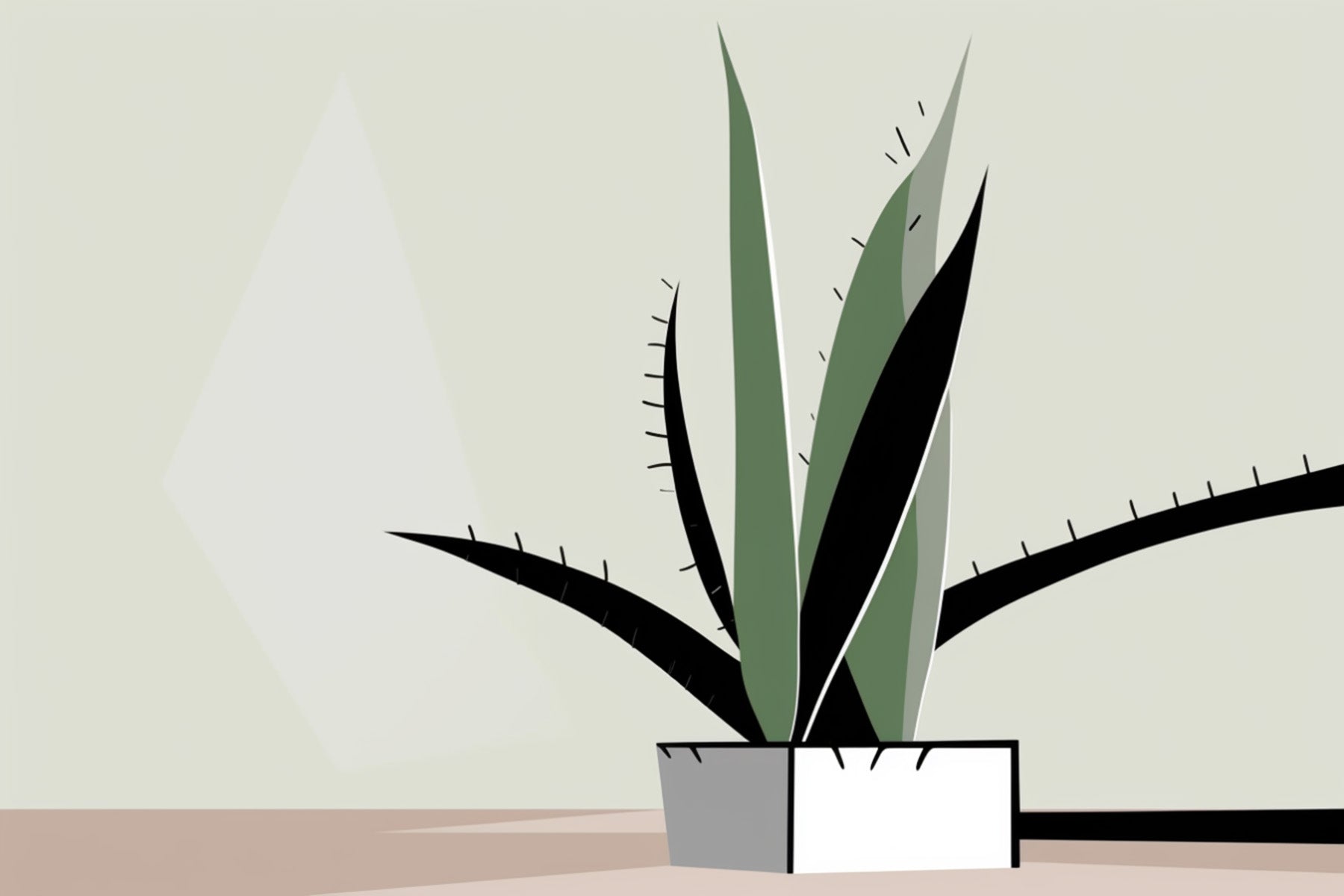 Aloe Vera Care Guide: Tips for Growing a Healthy and Vibrant Aloe Plant | Fuliage