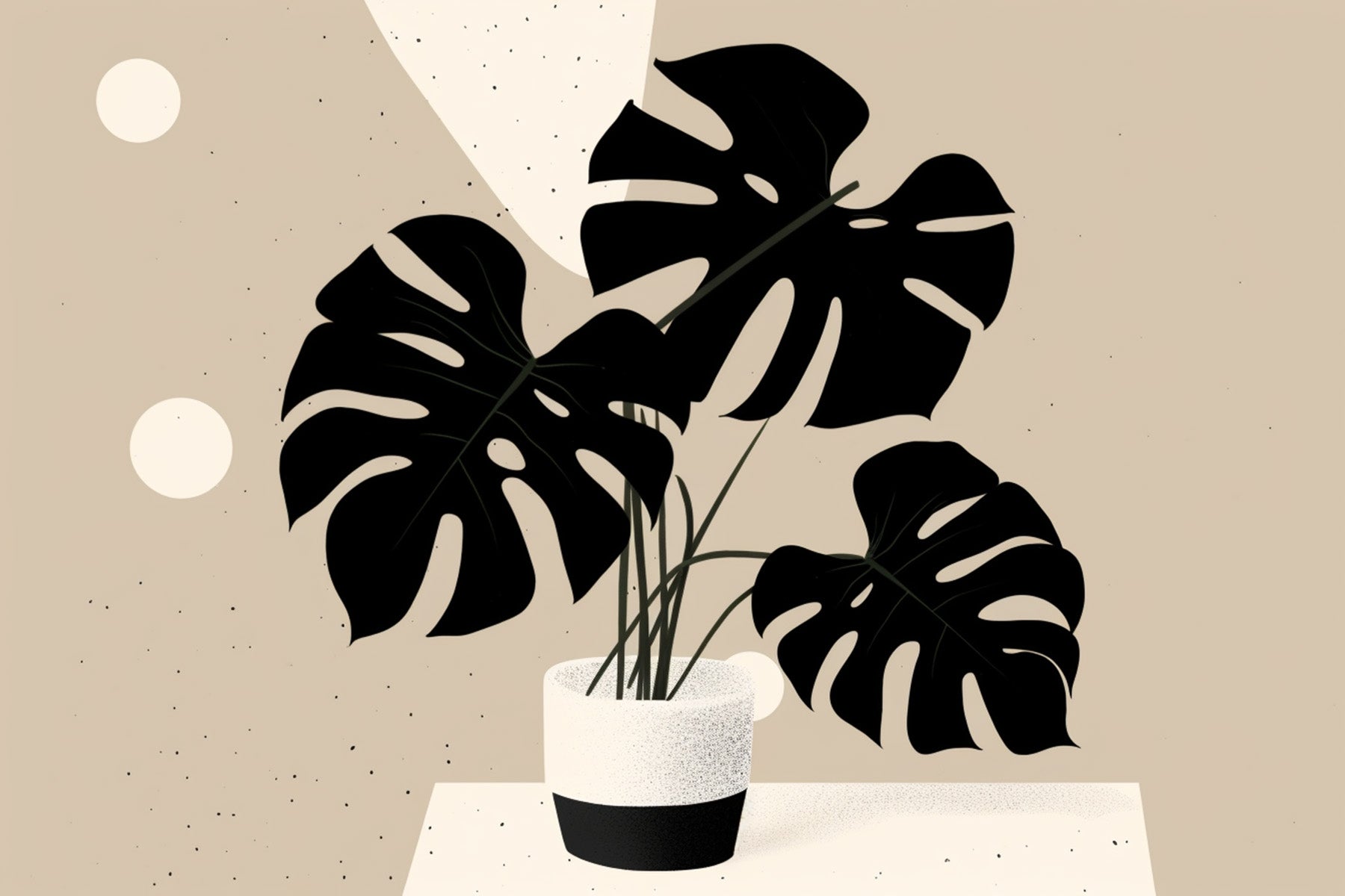 Monstera Deliciosa Care Guide: Tips for Thriving Swiss Cheese Plants