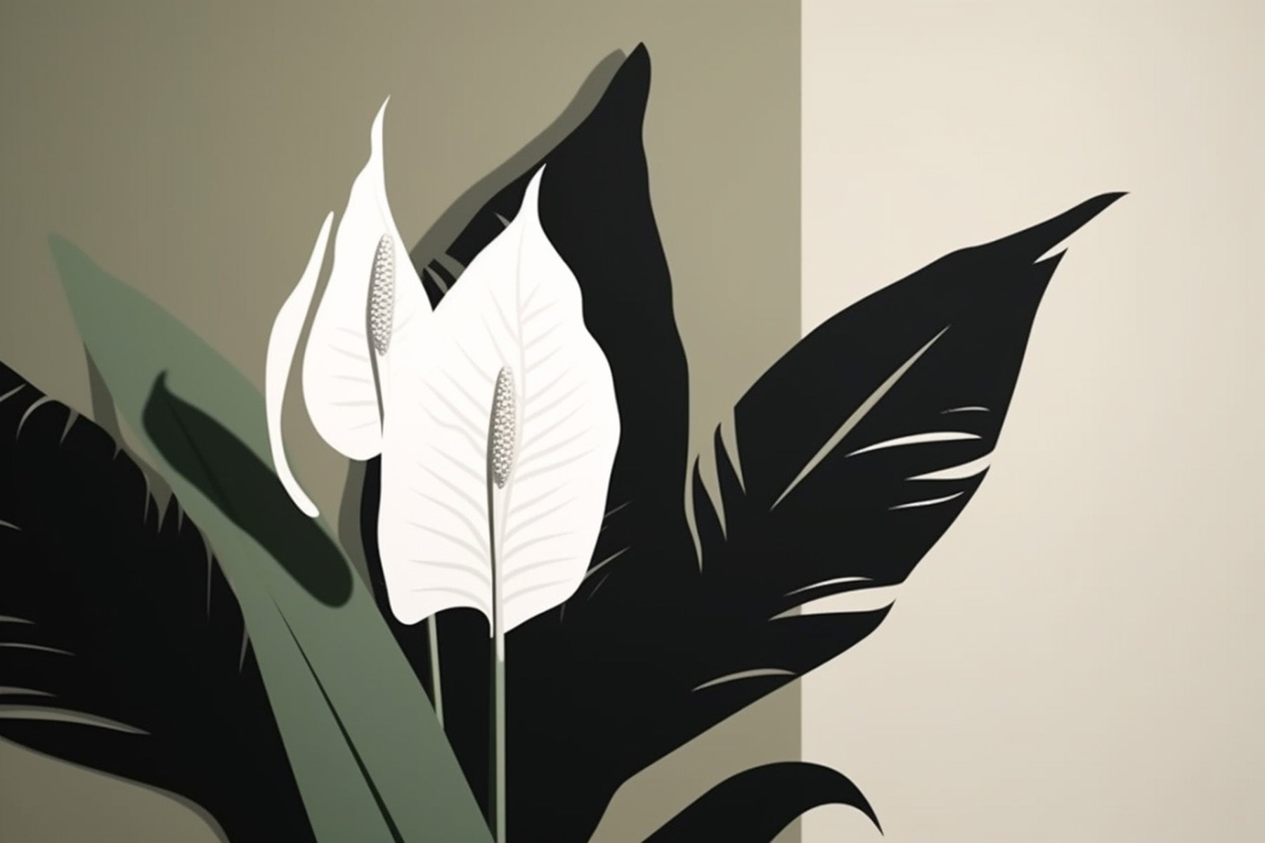 Peace Lily Care Guide: Tips for a Healthy, Blooming Spathiphyllum | Fuliage