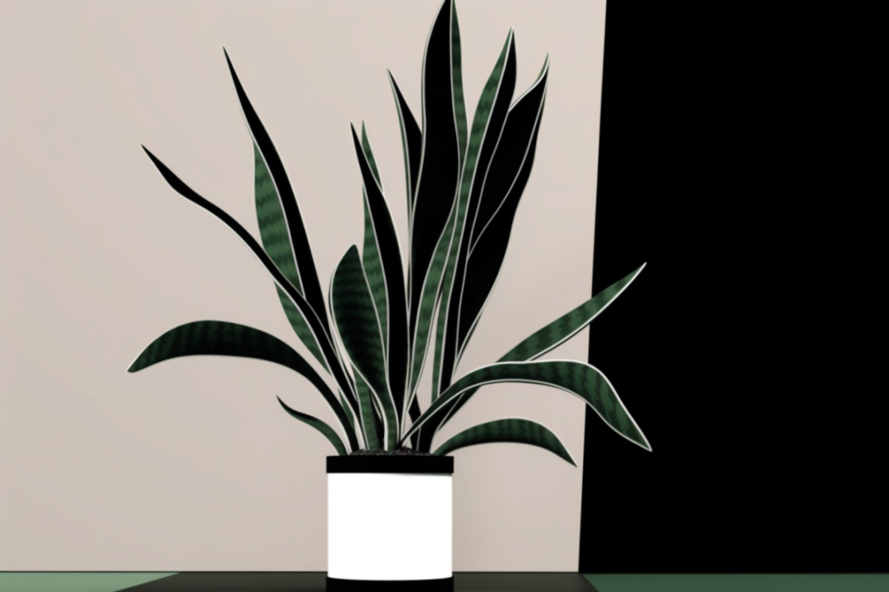 Snake Plant Care Guide: Master the Art of Growing a Thriving Sansevieria | Fuliage