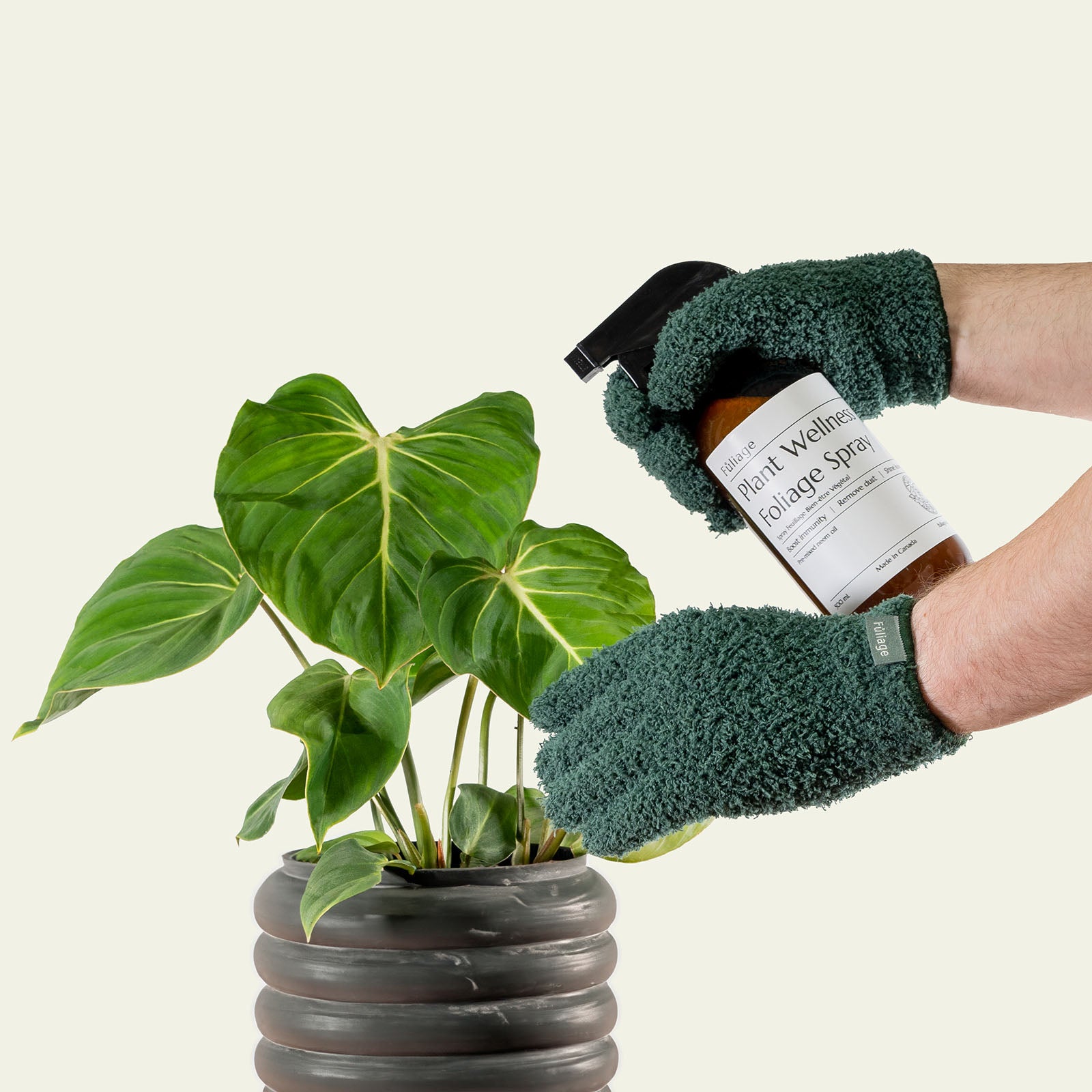 spray indoor plants Fuliage | Complete Plant Care Trio