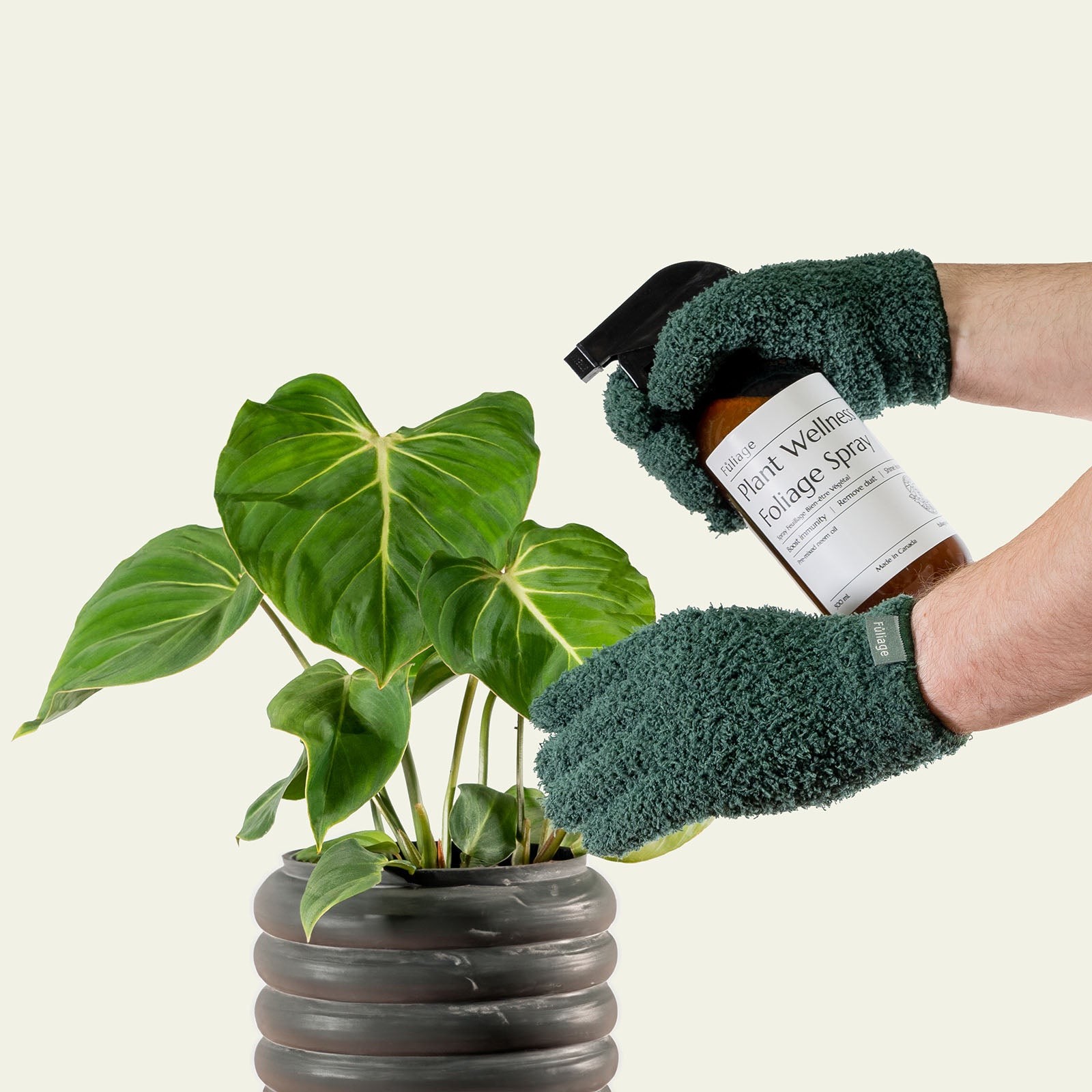 Easy DIY Plant Dusting Gloves For Happy, Healthy Plants – Mix Measure Make