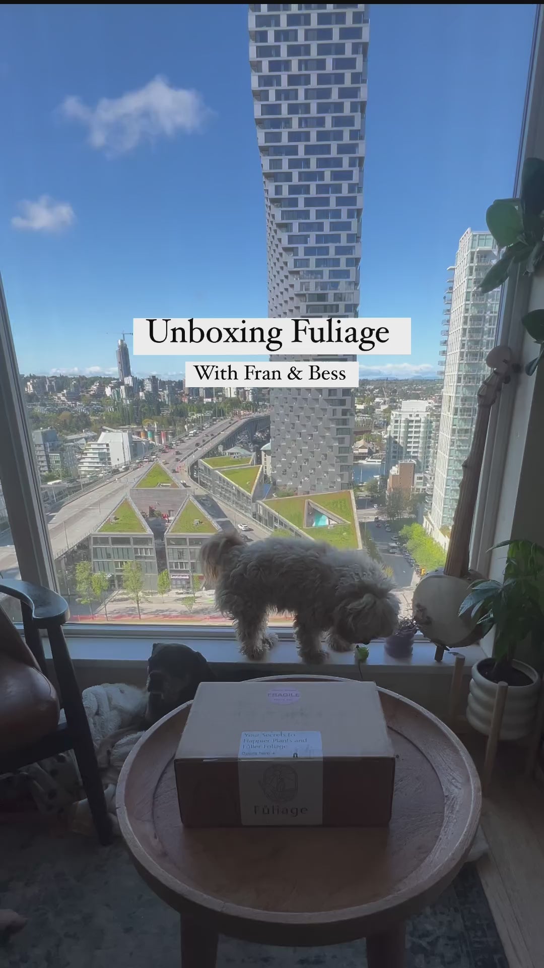 Love Fuliage — and you will too